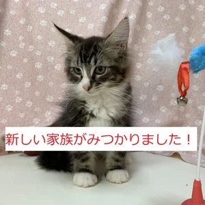 画像１
